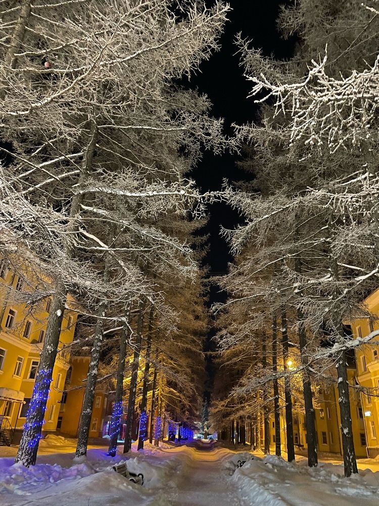 Photograph by Светлана Хохлова