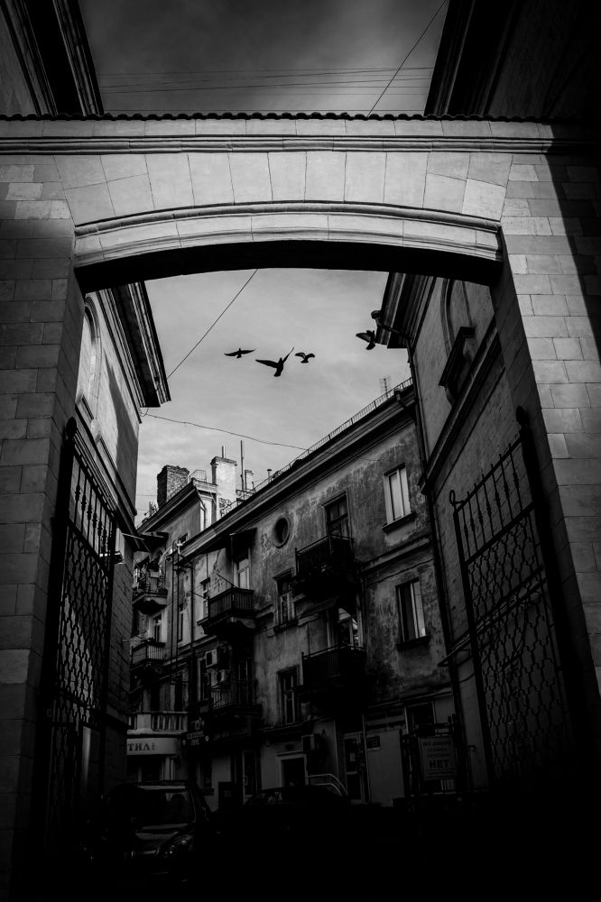 Photograph by Мария Мельничук