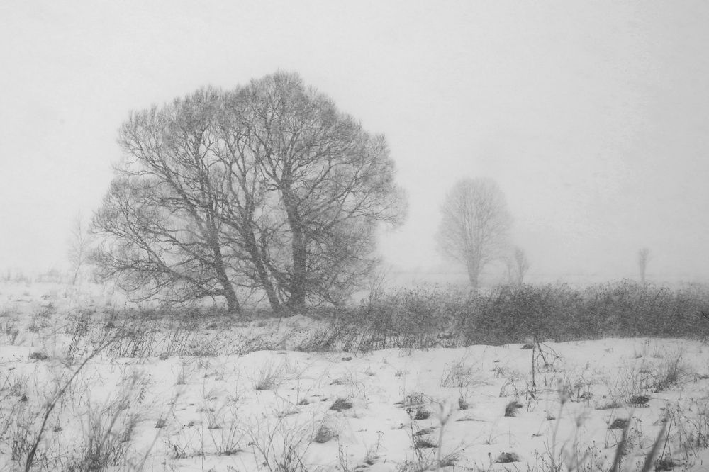 Photograph by Олеся Буланова