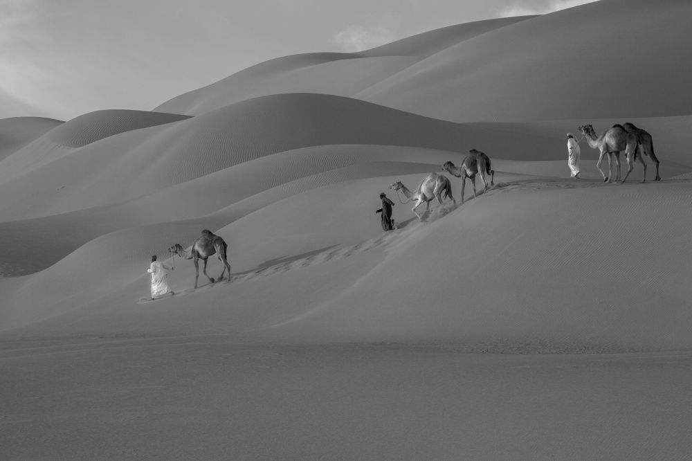 Photograph by Meshari