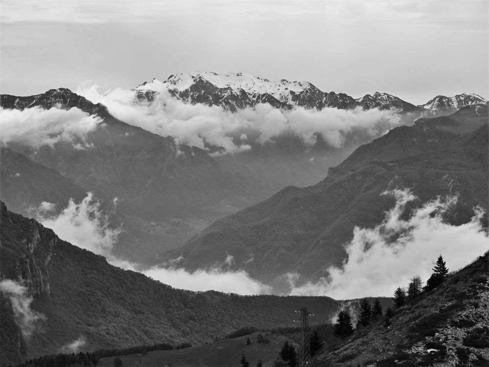 Photograph by Мила Милая