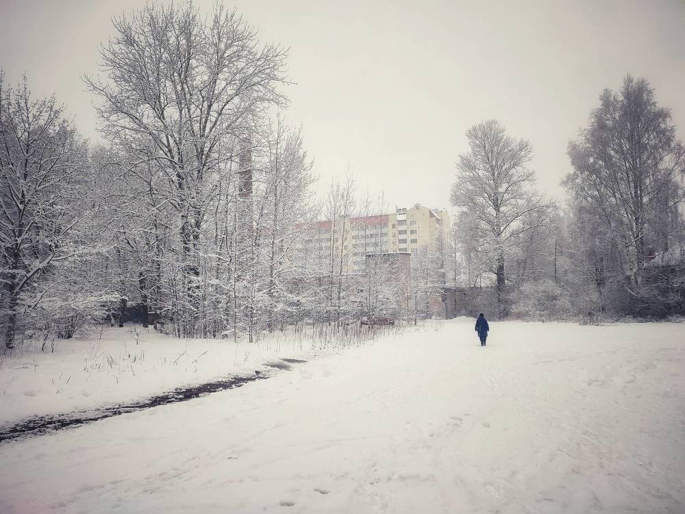 Photograph by Татьяна