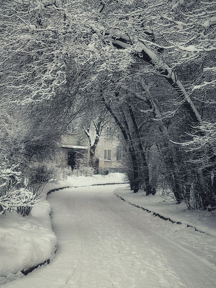 Photograph by Татьяна