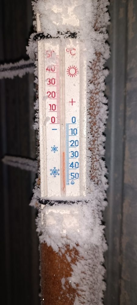 Photo #11627463