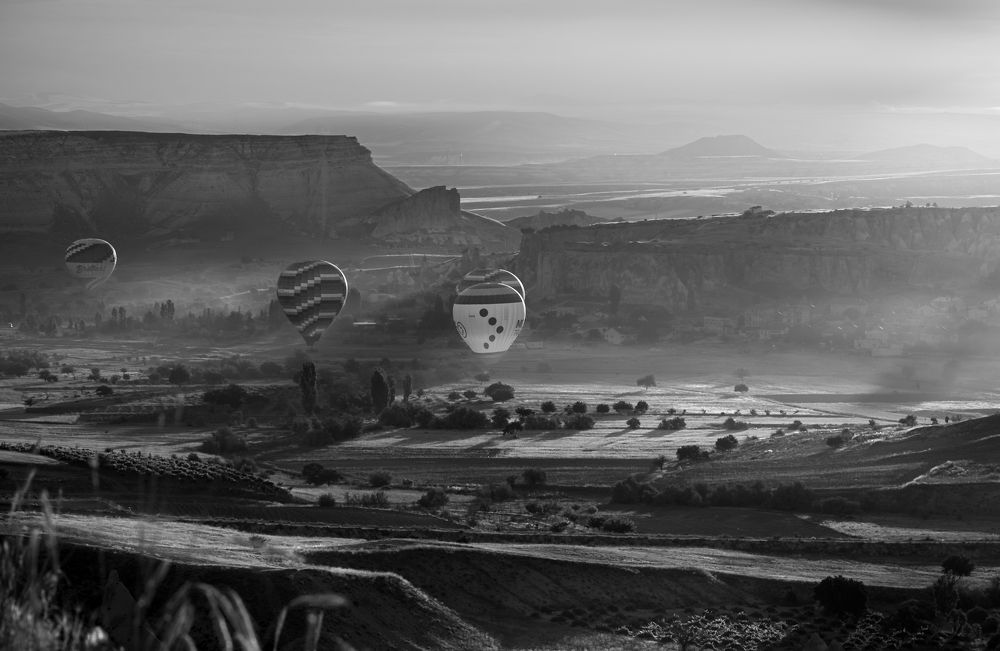 Фотография автора Владимир Барсуков