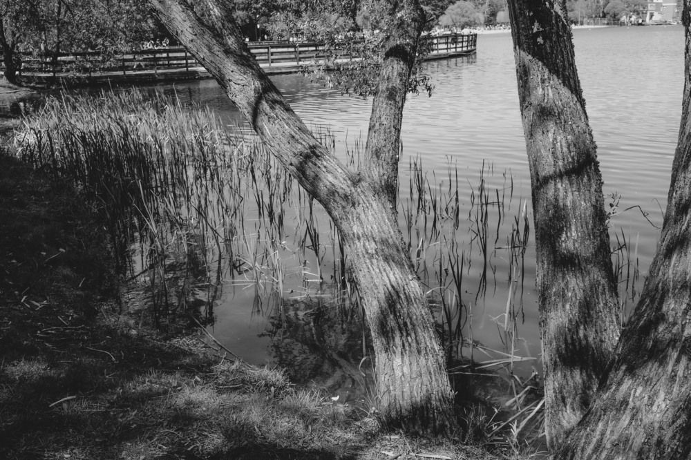 Photograph by Ольга Кушнарева