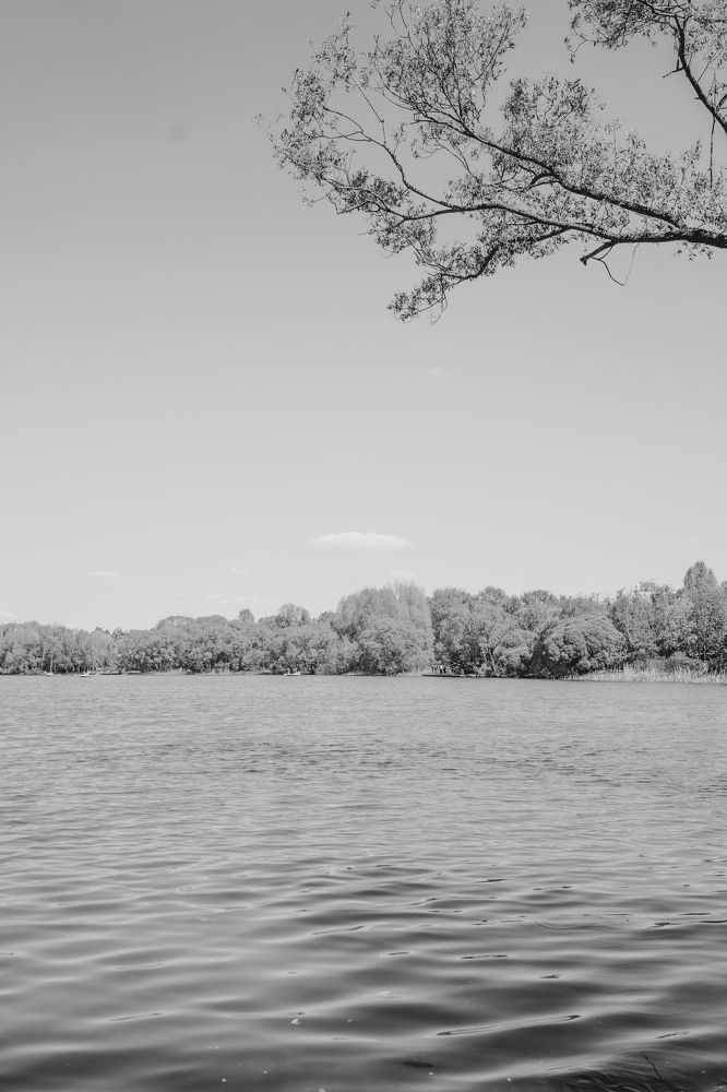 Photograph by Ольга Кушнарева