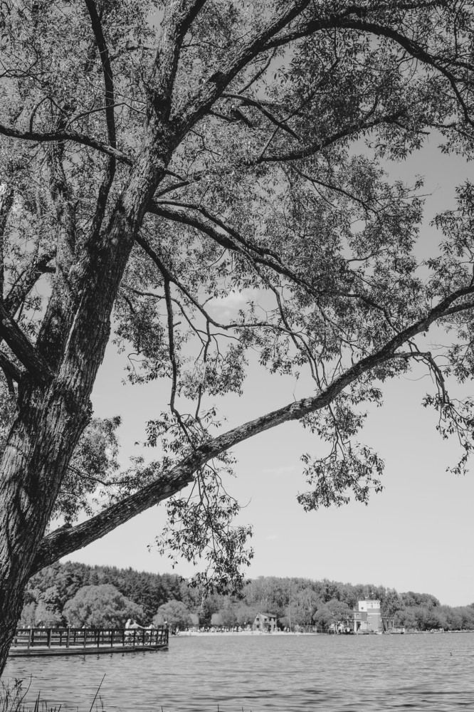 Photograph by Ольга Кушнарева