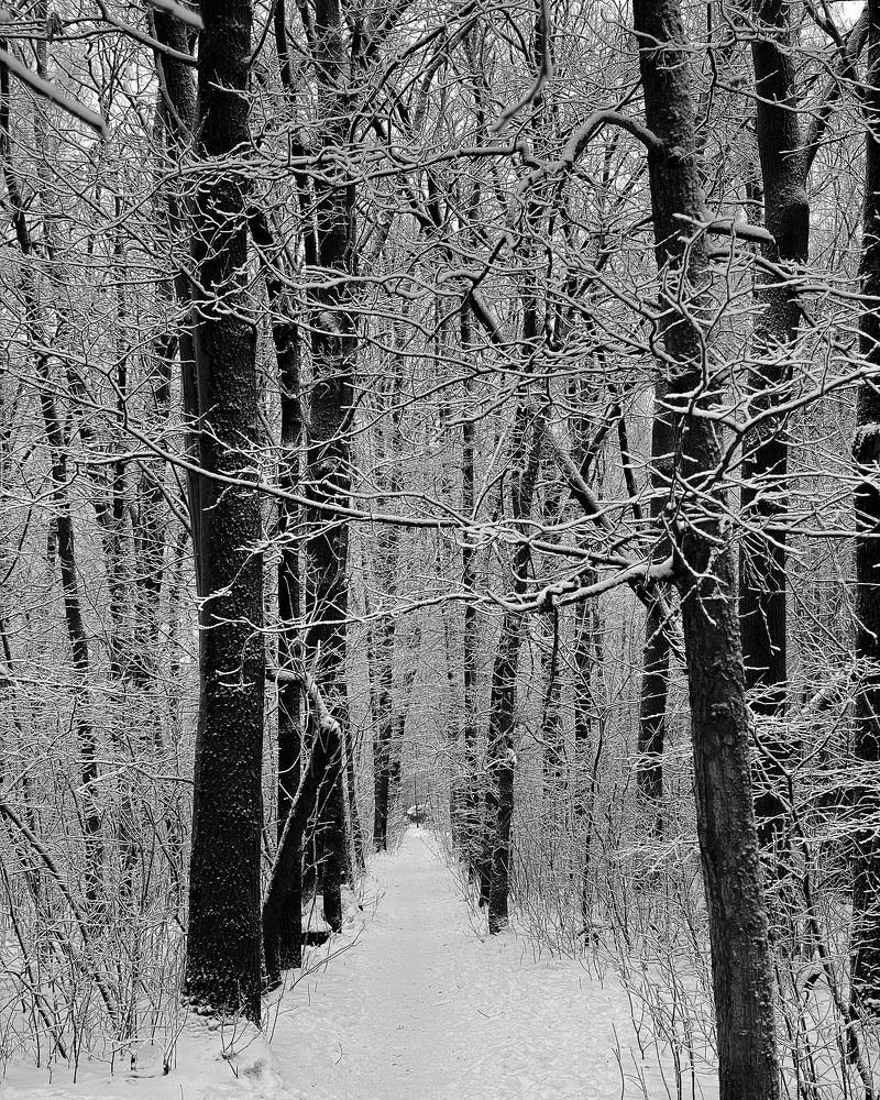 Photograph by Ольга Кушнарева