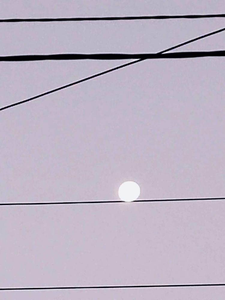 Photograph by Куделенко Оксана