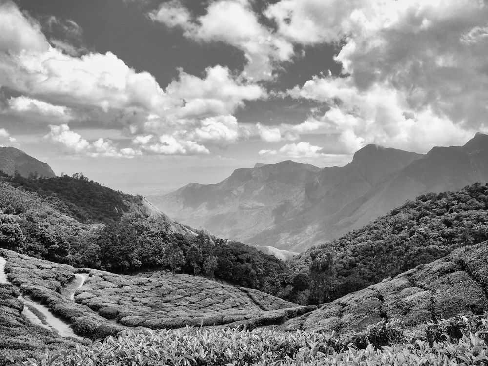 Photograph by Vimal Ram S