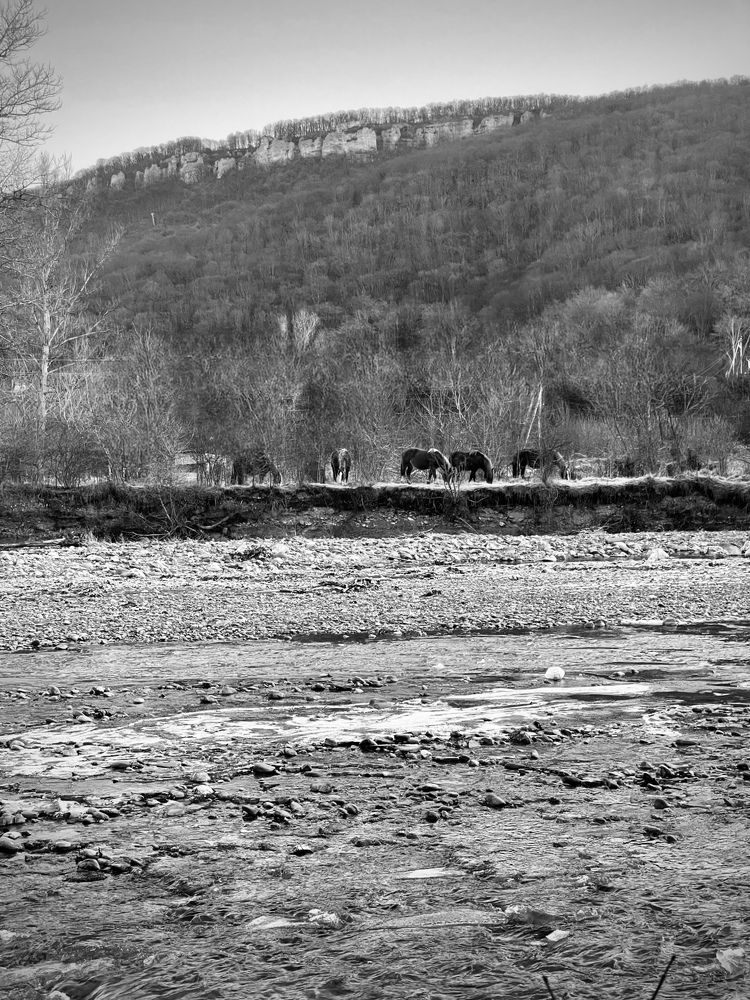 Photograph by Марина Фомичева