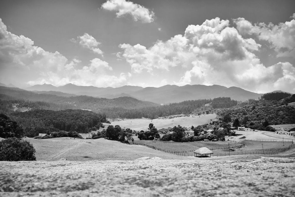 Photograph by Vimal Ram S