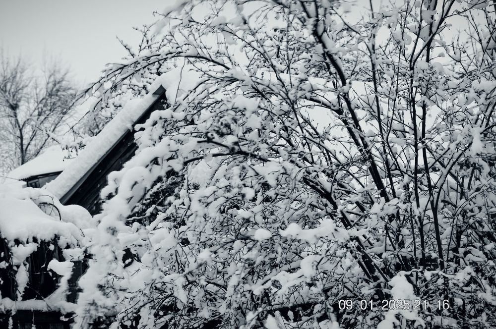 Photograph by Людмила Баймухаметова