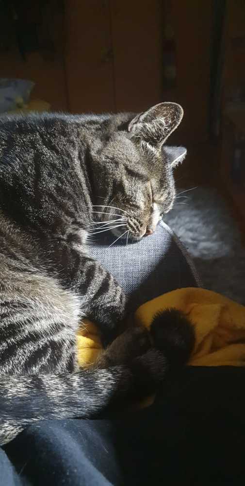 Photograph by Linda Brakus