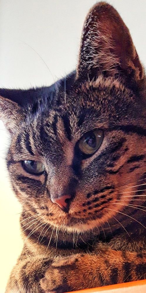 Photograph by Linda Brakus