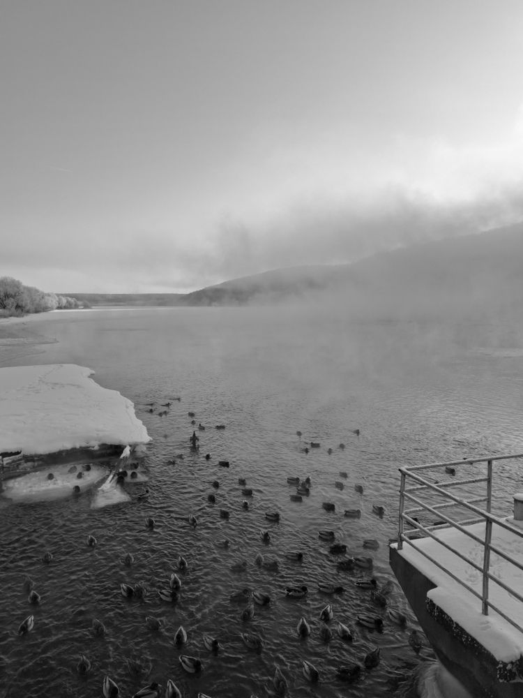 Photo #11627623