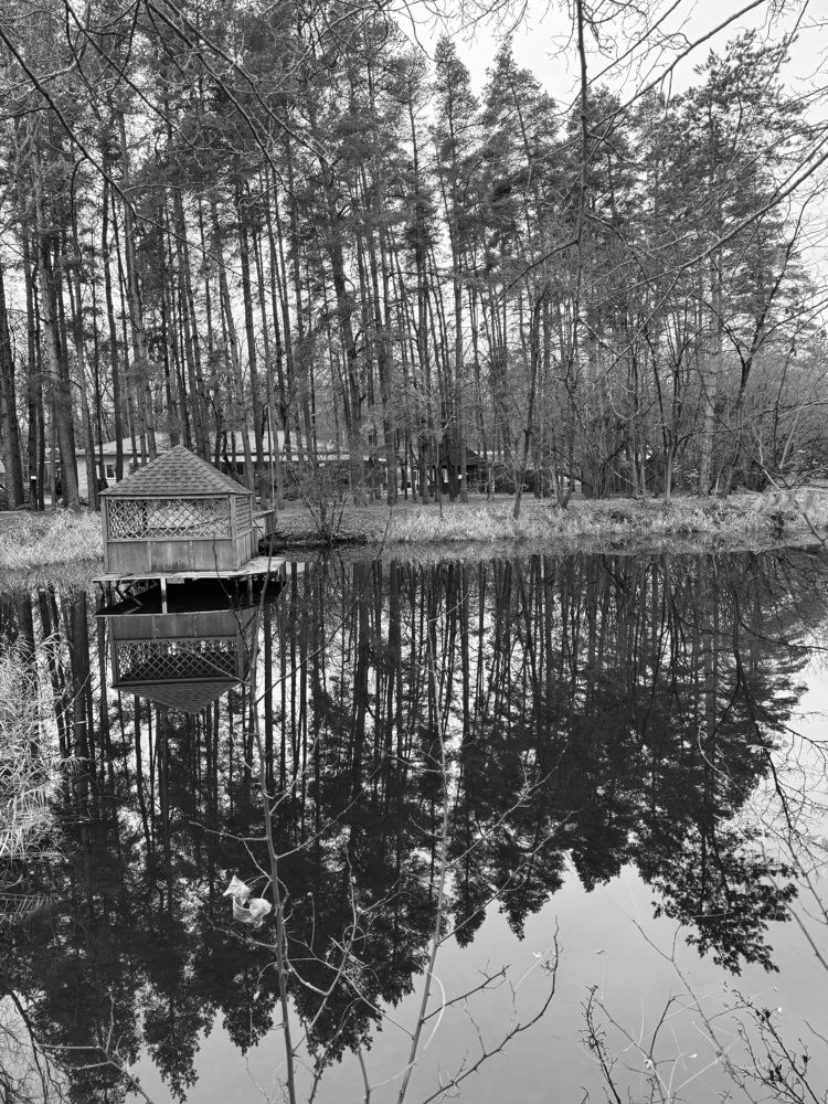 Photograph by Бойкова Наталия