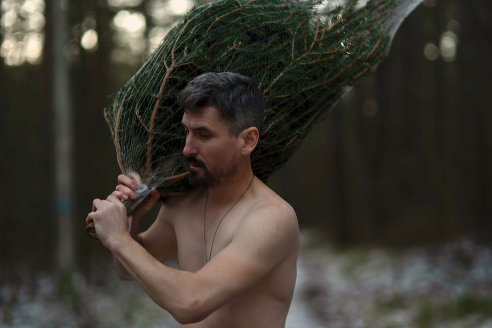 Фотография автора Наталья Почтенная