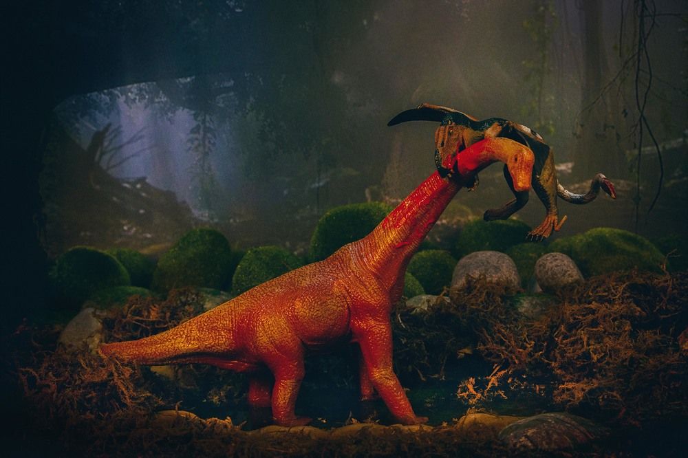 Photograph by PARTHA BHATTACHARYYA