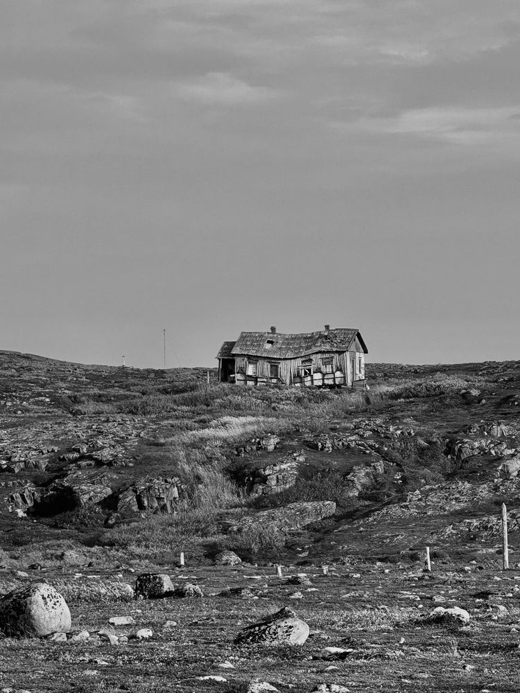 Photograph by Ксения Юртаева