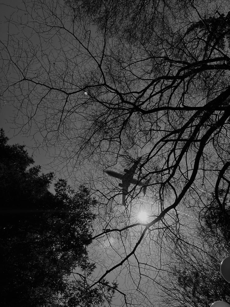 Photograph by Ксения Юртаева