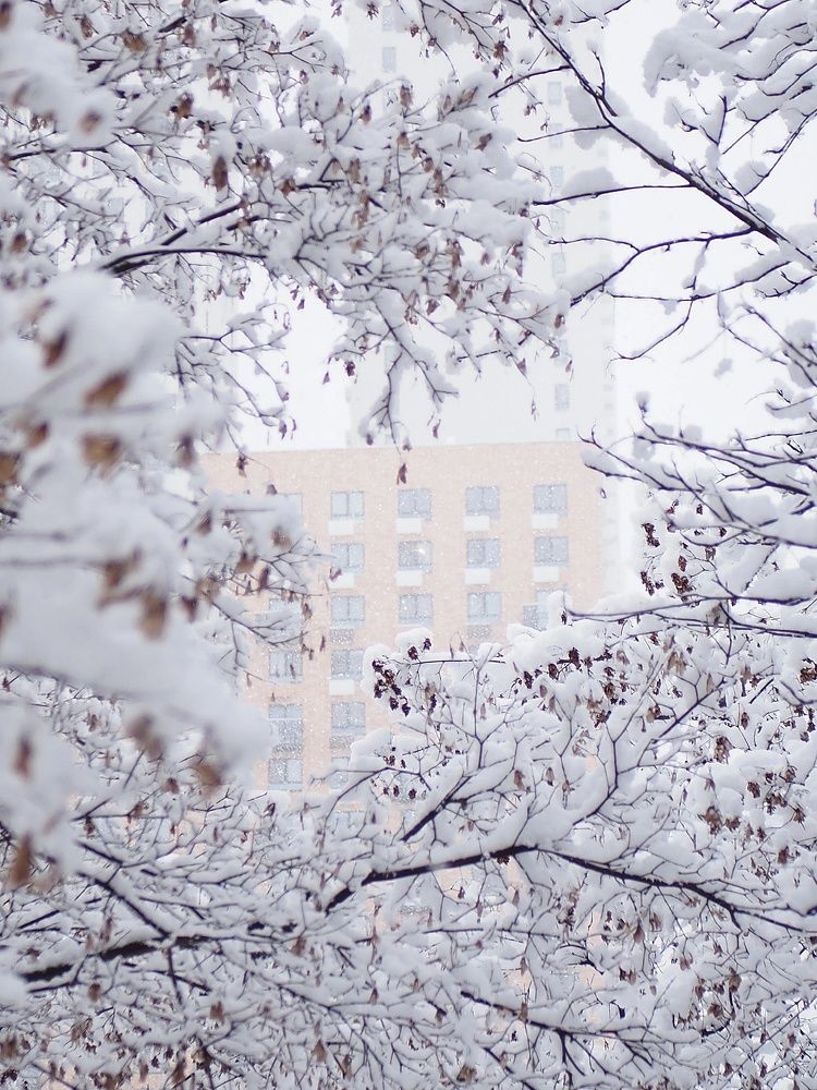 Photograph by Елена Синицына