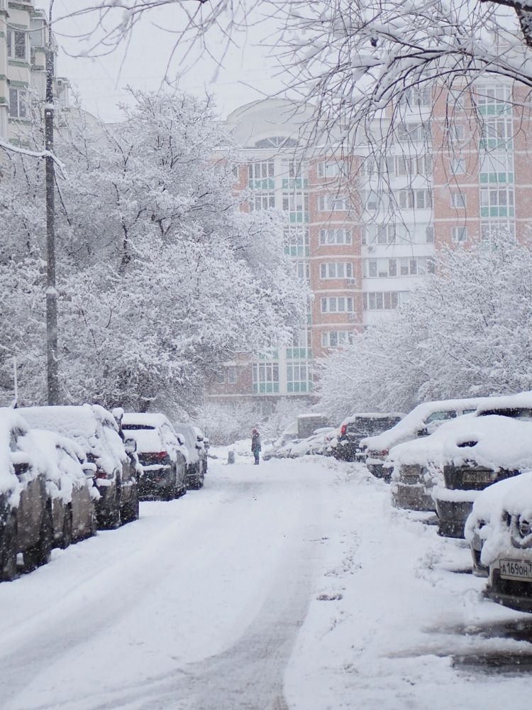 Photograph by Елена Синицына