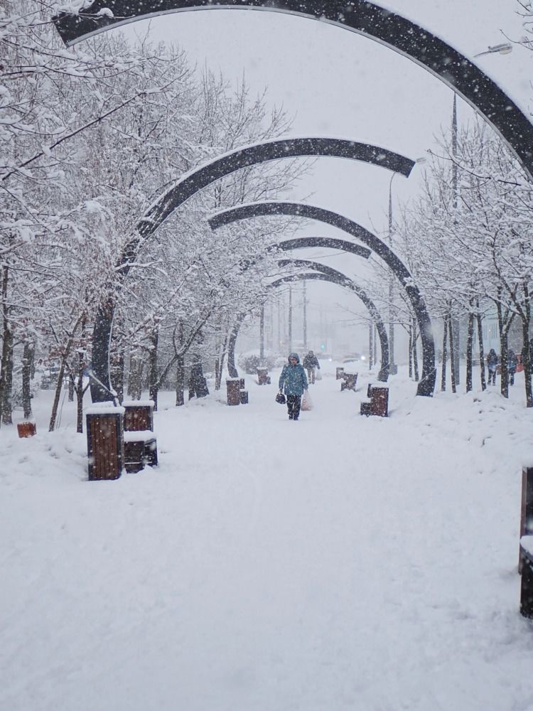 Photograph by Елена Синицына