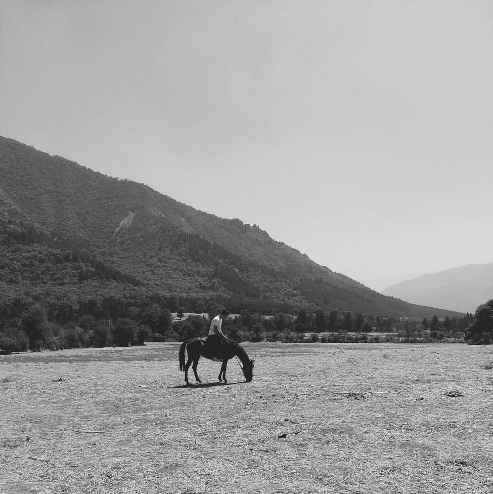 Photograph by reyhaneh zeidabadi nezhad