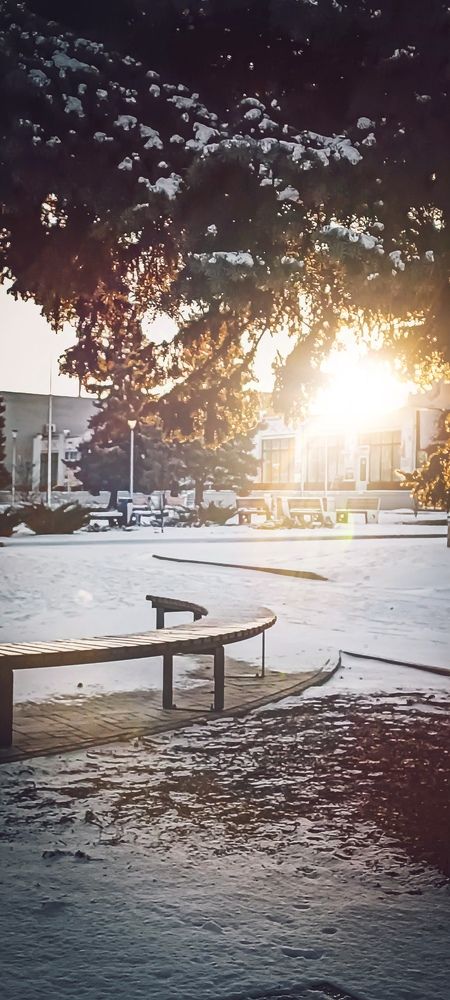 Фотография автора Наталья Алексеева