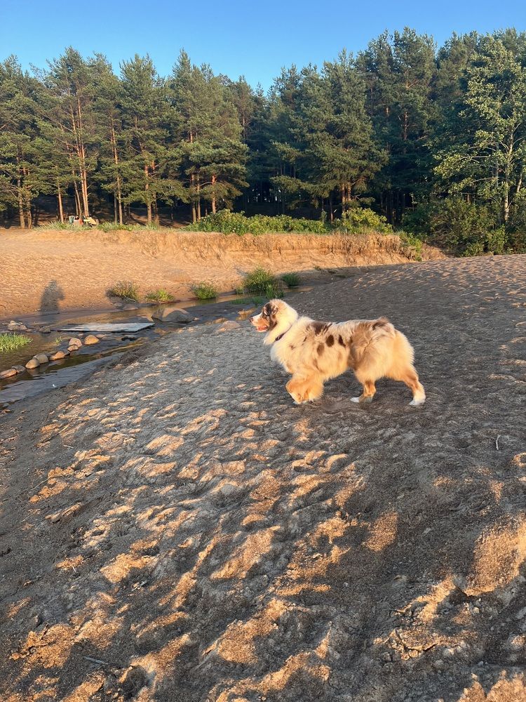 Photograph by Мария Гончарова