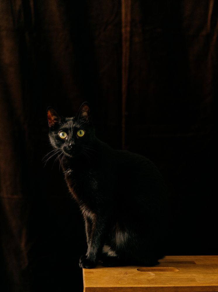 Photograph by Ольга Кушнарева