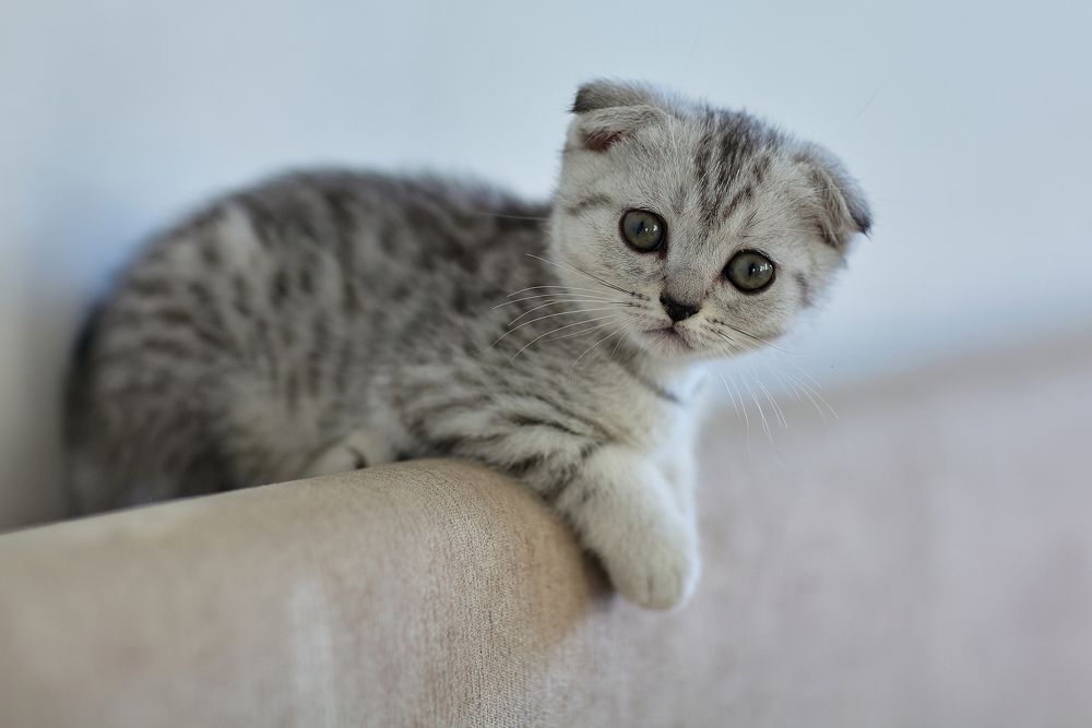 Photograph by Вербицкий Петр