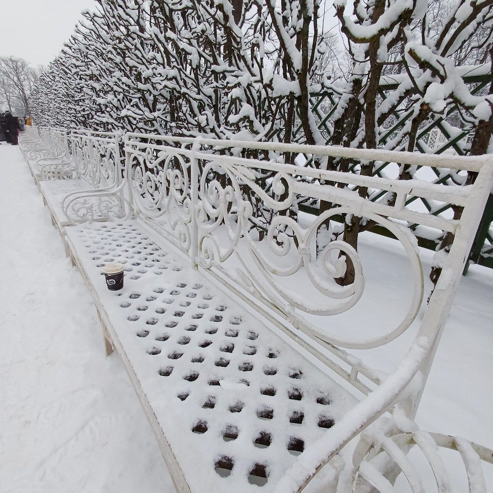 Photograph by Olga Mukhamedieva