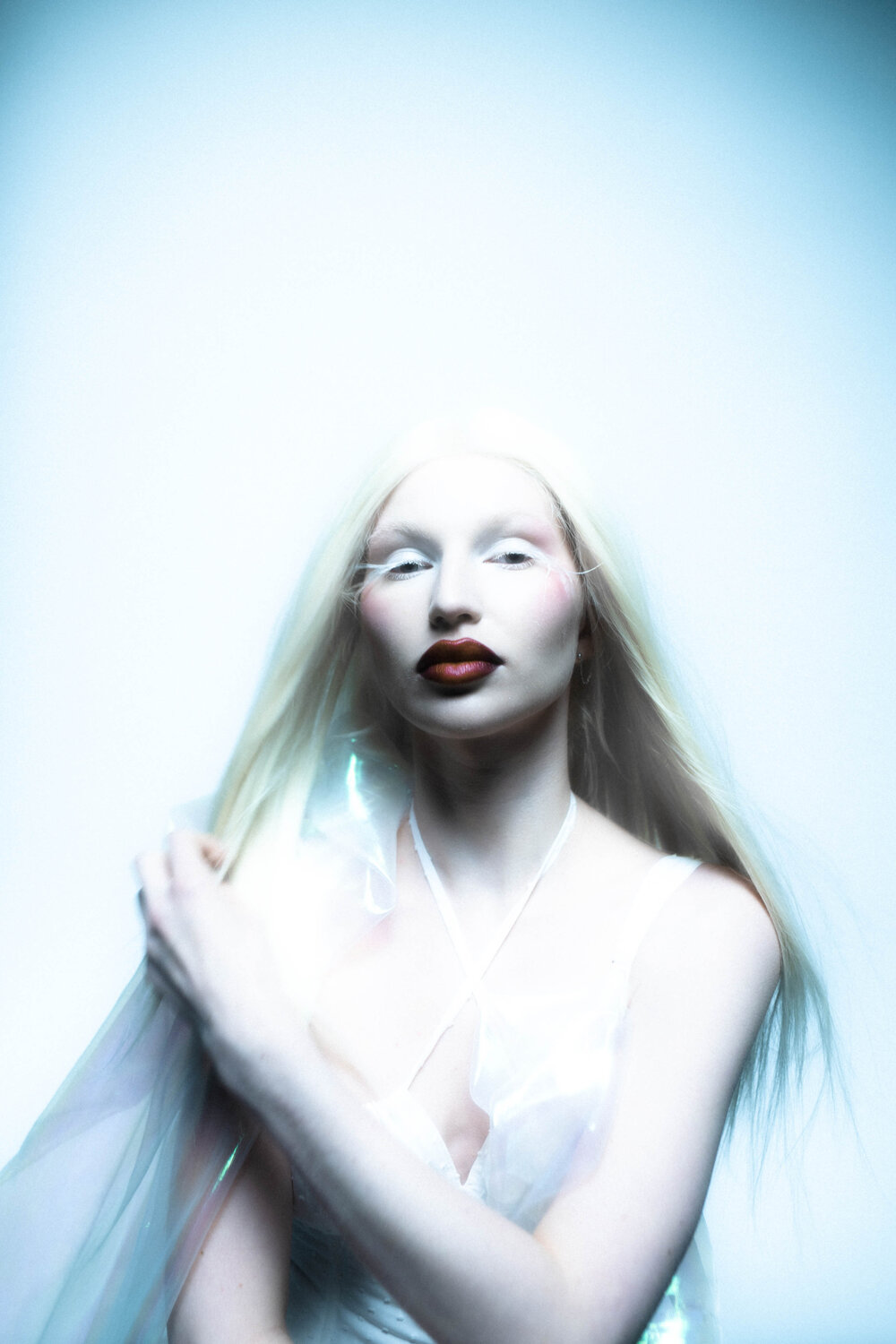 Photo #11627856
