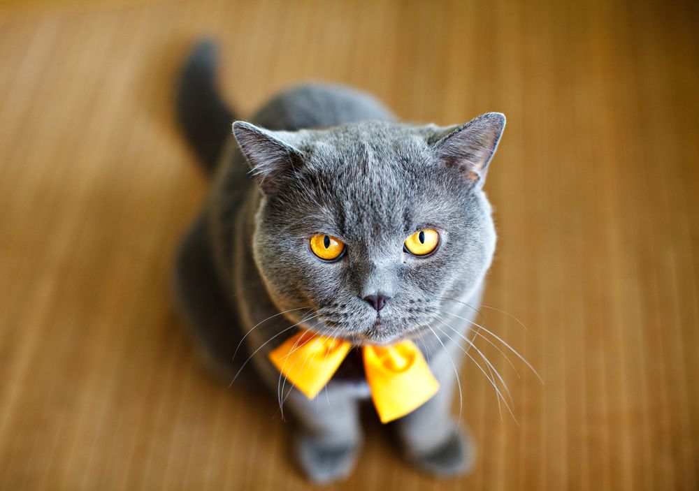 Photograph by Вербицкий Петр