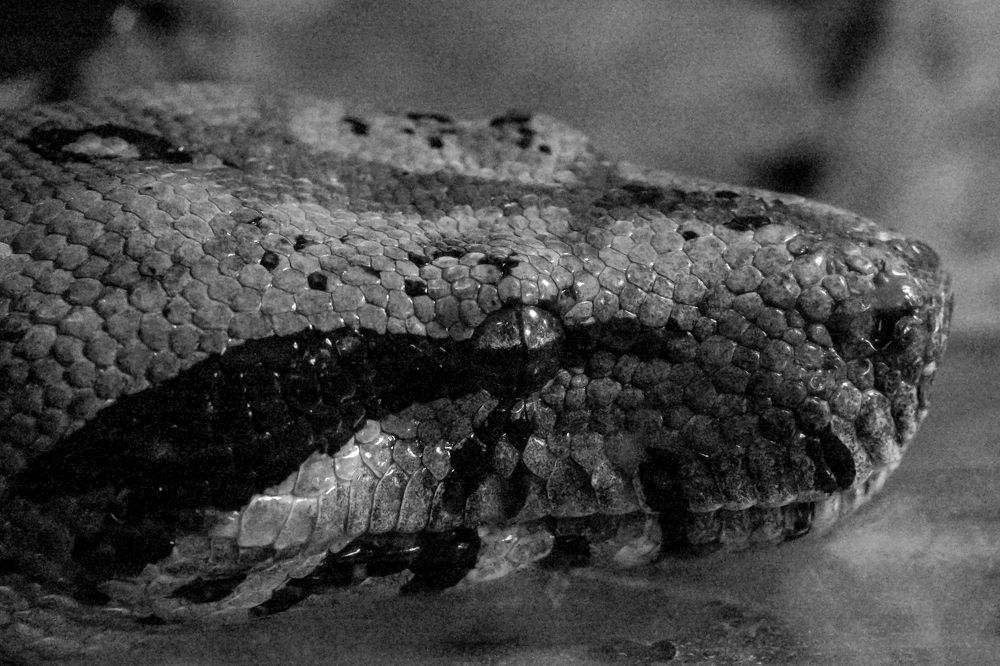 Фотография автора Валерий Бычков