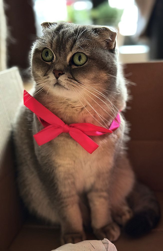 Фотография автора Андрей Неденко