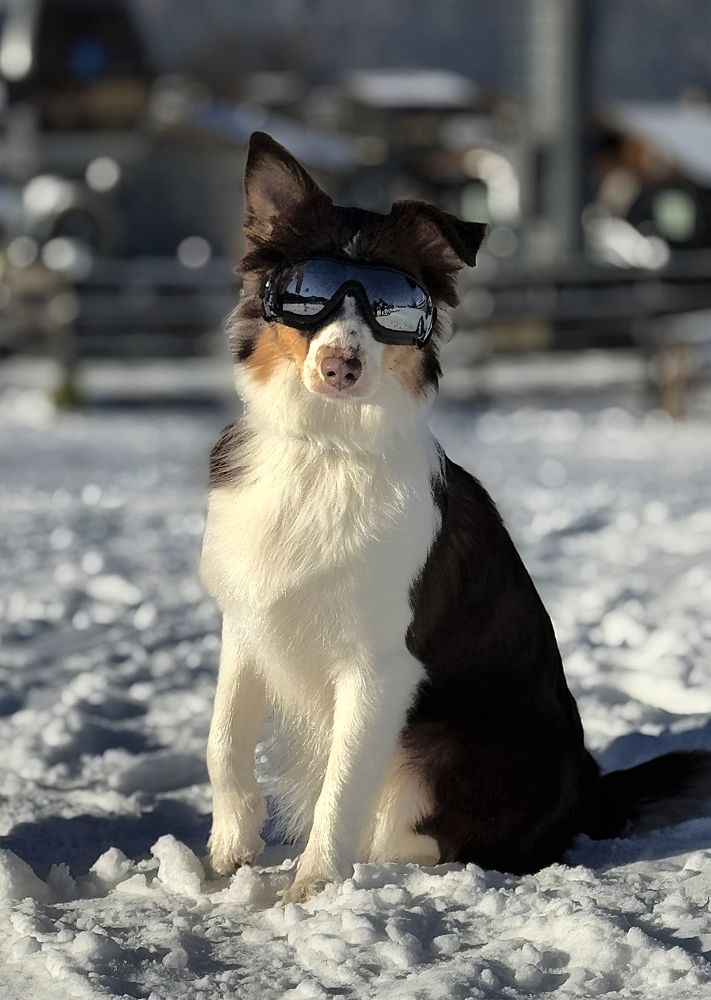 Фотография автора Андрей Неденко