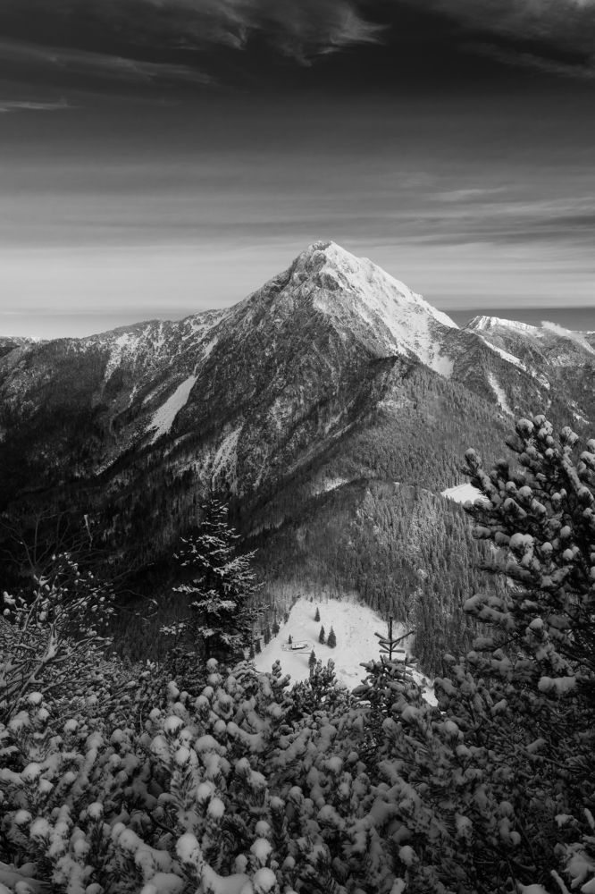 Photograph by Matija Šimunić