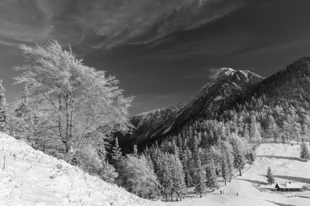 Photograph by Matija Šimunić