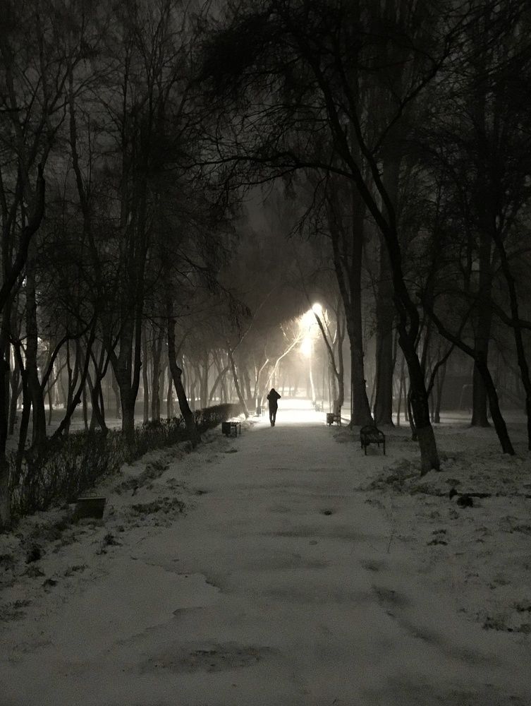 Photograph by Орынбек Асилбаев