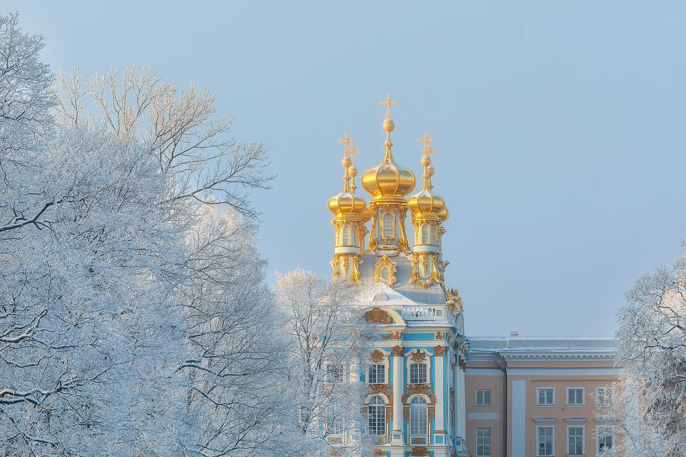 Фотография автора Alexander Pashenichev