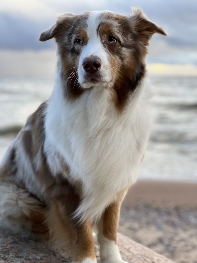 Photograph by Мария Гончарова