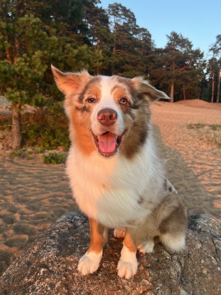 Photograph by Мария Гончарова