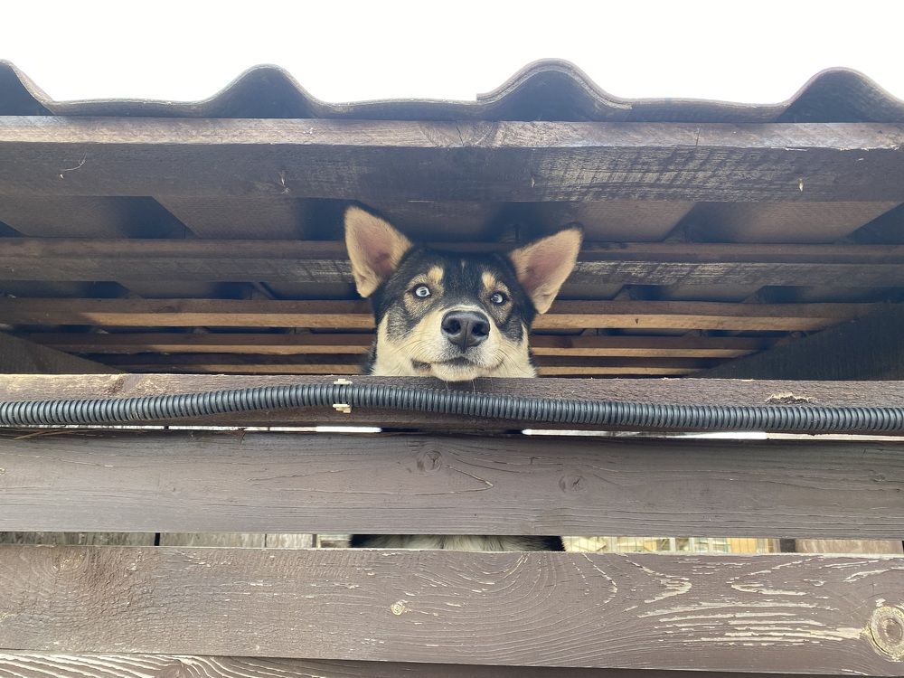 Photograph by Светлана Родионова