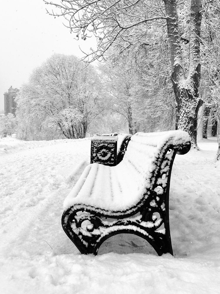 Photograph by Ольга Большакова