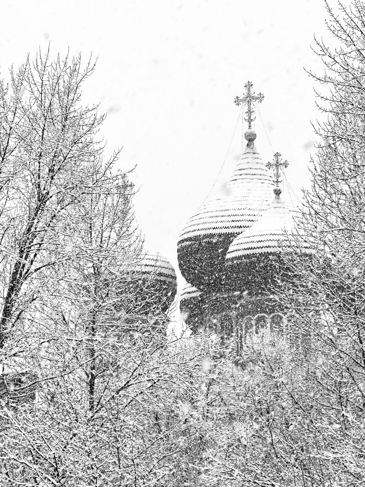Photograph by Ольга Большакова