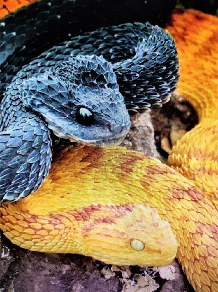 Photograph by Галина